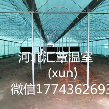 草莓大棚的建造