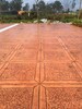 遷安河東彩色陶瓷顆粒防滑路面膠粘石壓花壓模透水地坪洗砂面地坪工程施工隊承接