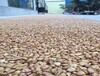 益阳资阳彩色透水混凝土压花压模胶粘石陶瓷颗粒洗砂面地坪厂家施工队承接