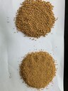 甘孜新龍縣彩色陶瓷顆粒膠水_10年技術(shù)_品質(zhì)值得信賴(lài)