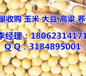 2018东北玉米价格行情垄上收购小麦大豆（实力厂家）