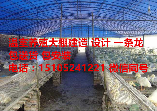 温室大棚设计内自治区赤峰巴林左旗温室大棚设计多少钱可以建造起来