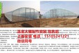 温室大棚造价辽宁丹东凤城温室大棚造价每亩地的造价是多少