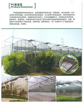 钢架温室大棚山东枣庄滕州钢架温室大棚多少钱可以建造起来