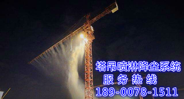 惠州工地塔吊喷淋降尘装置型号