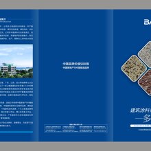 十大涂料品牌巴德士外墙艺术漆诚招全国优秀代理图片