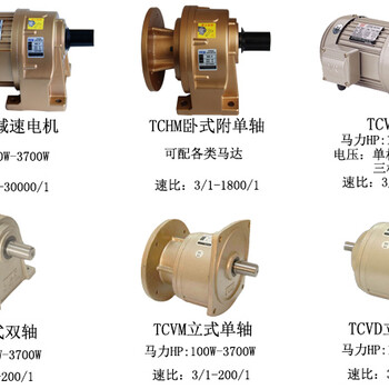 成都减速机齿轮马达减速电机TCH-2-200-60S