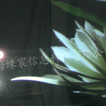 上海全息投影3D立体橱窗展示