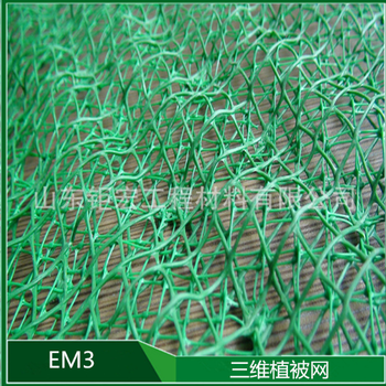 现货批发三维植被网EM3护坡三维土工网支持定做尺寸