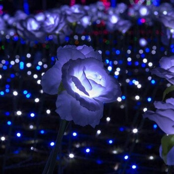 2018led光雕全國燈光節(jié)燈光秀布展燈光節(jié)，燈光展出售出租