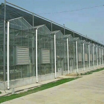 江苏镇江无土栽培玻璃温室大棚建设工程厂家
