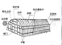 图片0