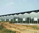 吉林延边玻璃温室餐厅5000平米施工价格实惠厂家