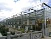 云南保山阳光板温室大棚造价在300每平米左右已达到温室大棚市场行业新低