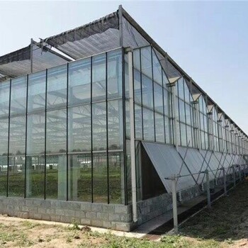 云南玉溪钢材市场低迷的行情下建一个5万平米的玻璃温室只需要5万元