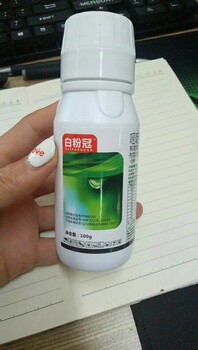 西瓜白粉病藥——廠家（告白、白粉冠）