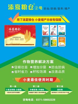 小麥高產(chǎn)套餐—豐收樂(lè)添夏糧倉(cāng)