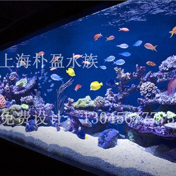魚缸工廠價格,鞍山新聞網(wǎng)