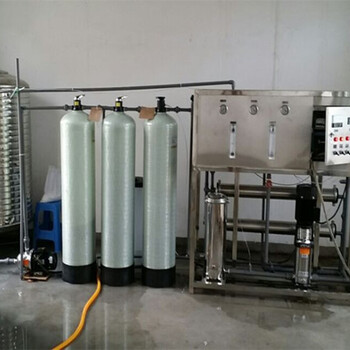 卫辉市生活用水处理设备0.25吨双级纯水设备家用商用饮水机河南厂家定制安装