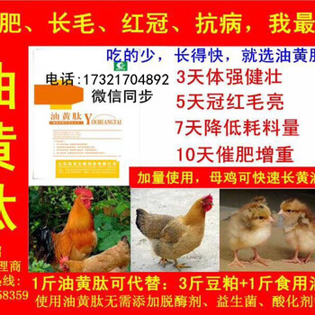 小鸡长的快小鸡预防安卡拉鸡降低料比