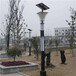 推广区域，晋城太阳能景观灯厂家亮度标准