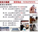 台江县比特犬价格图片