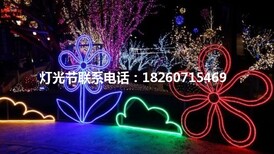 旌德2018动感灯光展制作新型创意为你打造梦幻灯光节生产厂家图片0