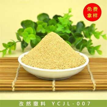 厂家供应孜然粉孜然粉烧烤外撒料调味香辛料