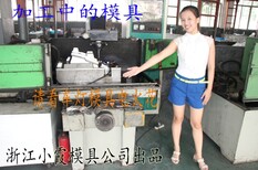 镇江专做浙江轿车模具，轿车塑料模具，汽车包围塑料模具供应商图片4