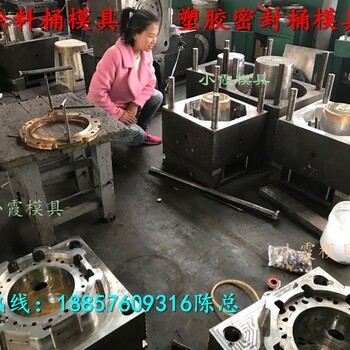 黄岩模具公司，7L塑料液体塑料桶模具，7L塑料食品桶模具，7L塑料水桶模具