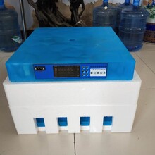 小型孵化机