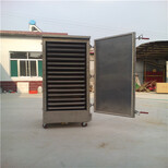 丹东全自动蒸箱设备燃气蒸房厂家定做不锈钢电蒸柜价格图片2