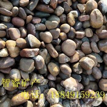 智睿廠家供應(yīng)天然鵝卵石園林綠化、變壓器、電廠鵝卵石、品質(zhì)可靠