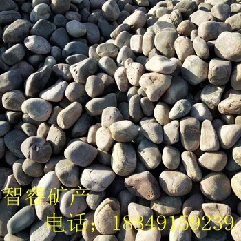 智睿廠家供應(yīng)鋪路鵝卵石變壓器鵝卵石污水處理鵝卵石園林造景鵝卵石河卵石