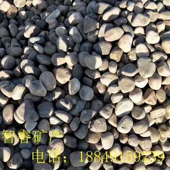智睿供應(yīng)天然園林卵石礫石黑色鵝卵石機(jī)制石河道鋪路鵝卵石
