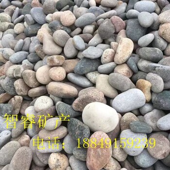 智睿廠家供應(yīng)天然鵝卵石機制鵝卵石綠色鵝卵石彩色鵝卵石