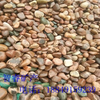 智睿廠家供應(yīng)水處理天然鵝卵石雜色鵝卵石排水溝用鵝卵石規(guī)格