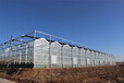 吉林钢结构玻璃温室大棚建造施工厂家