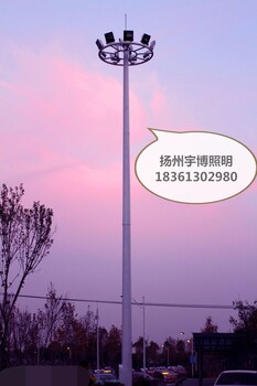 吕梁LED景观灯生产厂家价格品质保障