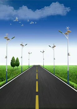 慶陽太陽能路燈廠家6米30W多少錢