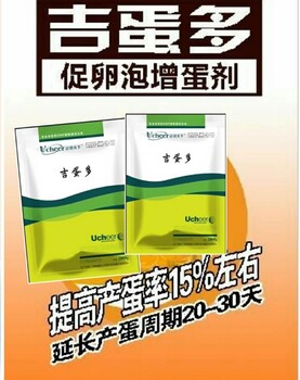 鸡吃什么下蛋多怎么提高鸡的产蛋量，延长产蛋高峰就用吉蛋多