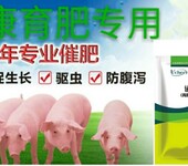 猪吃什么长得快育肥猪饲养方法猪催肥饲料添加剂