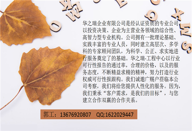 乐安县写标书公司/做服务类标书/写的快中标