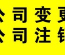 石狮公司注销、公司变更全程代办找金太阳