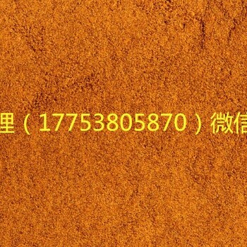 山東現(xiàn)貨提供香菇提取物（香菇多糖）