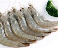 北京南美白對蝦價格，熟凍對蝦產地批發