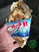 乳山和湛江生蚝哪个好广州生蚝交易市场