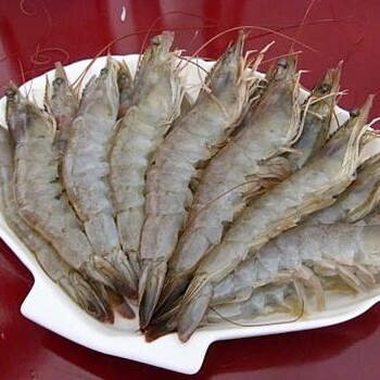 台州哪里有对虾批发的南美白对虾货源
