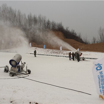 国产小型人工高温炮式滑雪场造雪机造雪机厂家造雪机价格