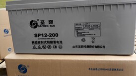 山东圣阳SP12-245蓄电池12V245AH直流屏电池质保三年图片1